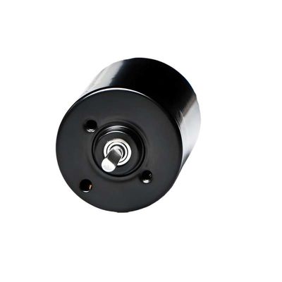 28 mm PMDC borstelloze motor met geïntegreerde stuwrekenaar 5.1W 12V 24V High Power BLDC motor voor pomp elektrische raamgordijn