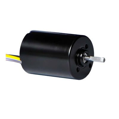 28 mm PMDC borstelloze motor met geïntegreerde stuwrekenaar 5.1W 12V 24V High Power BLDC motor voor pomp elektrische raamgordijn
