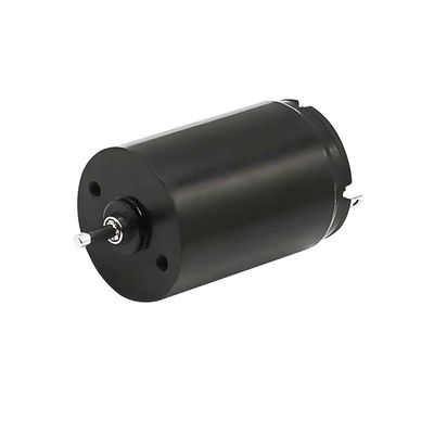 High Torque Micro Brushed DC Motor 1,57 Watt 9980rpm 16mm 24V waterdicht