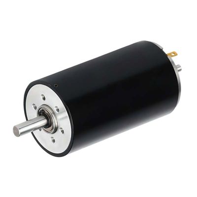 40 mm gepoetste gelijkstroommotor 137 Watt 7000 tpm 48 V hoge koppel gepoetste motor