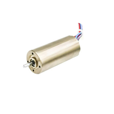 16mm sensorloze borstelloze motor slotloze motor 24V 10W 20W 18900rpm aanpasbaar