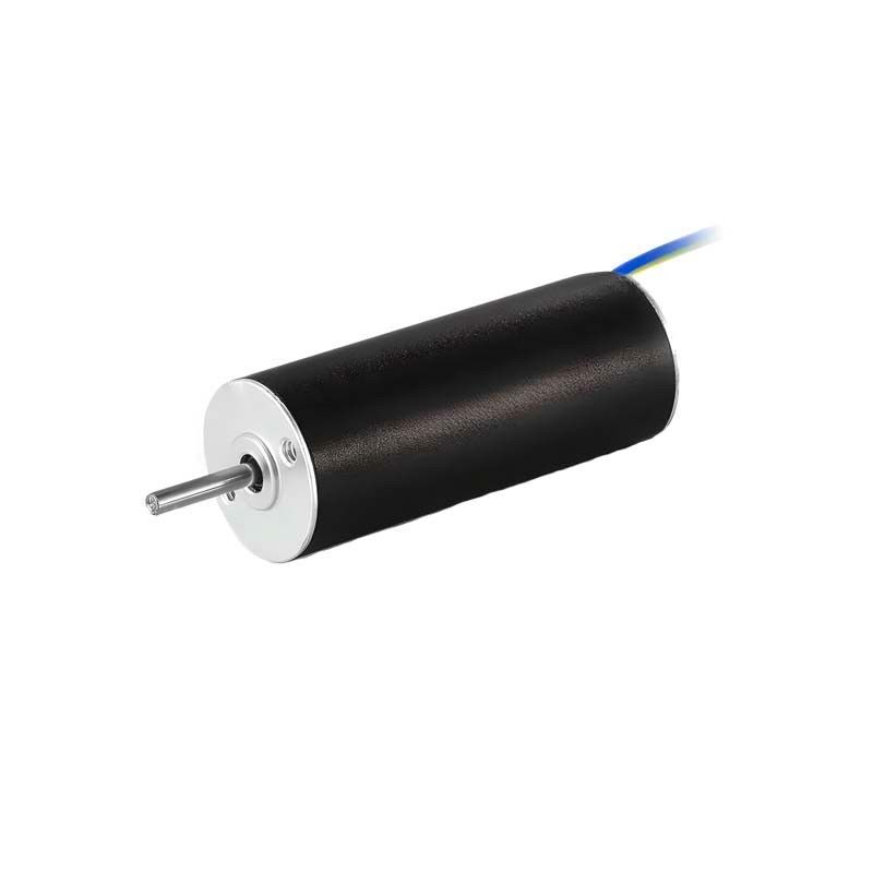 Custom Slotless Brushless Motor 12mm 6.5W 25310rpm Coreless DC Motor voor medische pompen