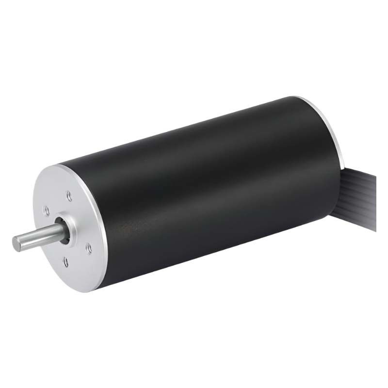 Hoge snelheid 22 mm slotloze borstelloze motor 48 V kernloze BLDC motor 22 W 13641 tpm