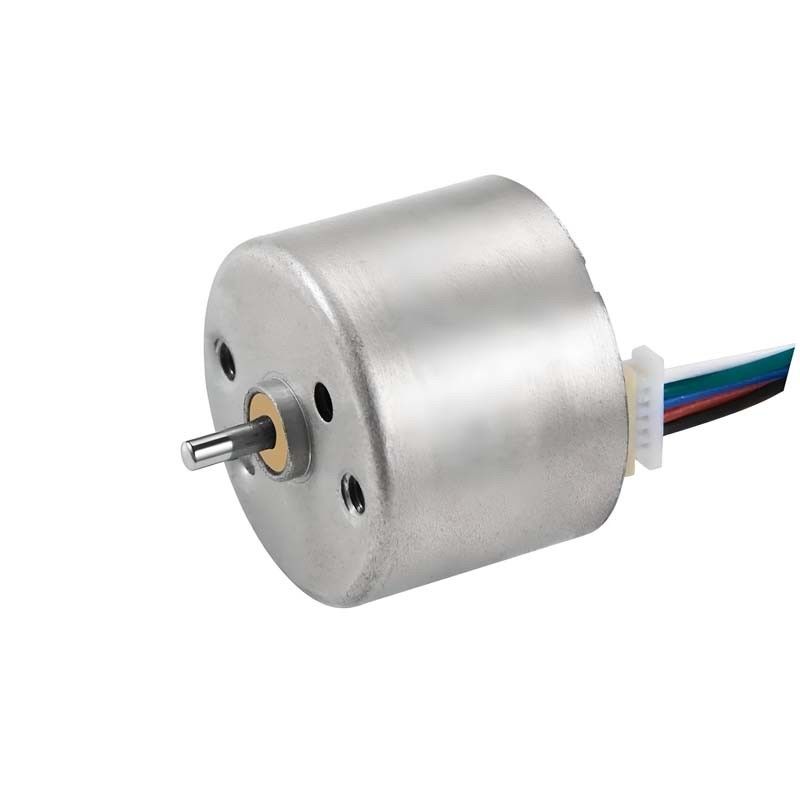 12V 24mm borstelloze DC-motor BLDC-motor voor haarkruller en medische apparatuur