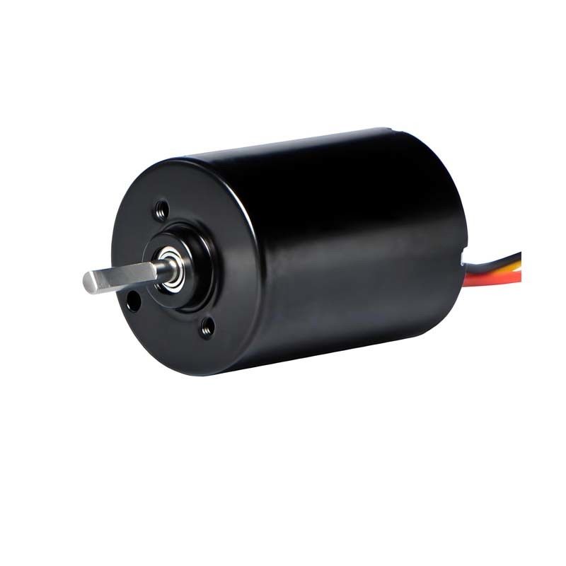 28 mm PMDC borstelloze motor met geïntegreerde stuwrekenaar 5.1W 12V 24V High Power BLDC motor voor pomp elektrische raamgordijn