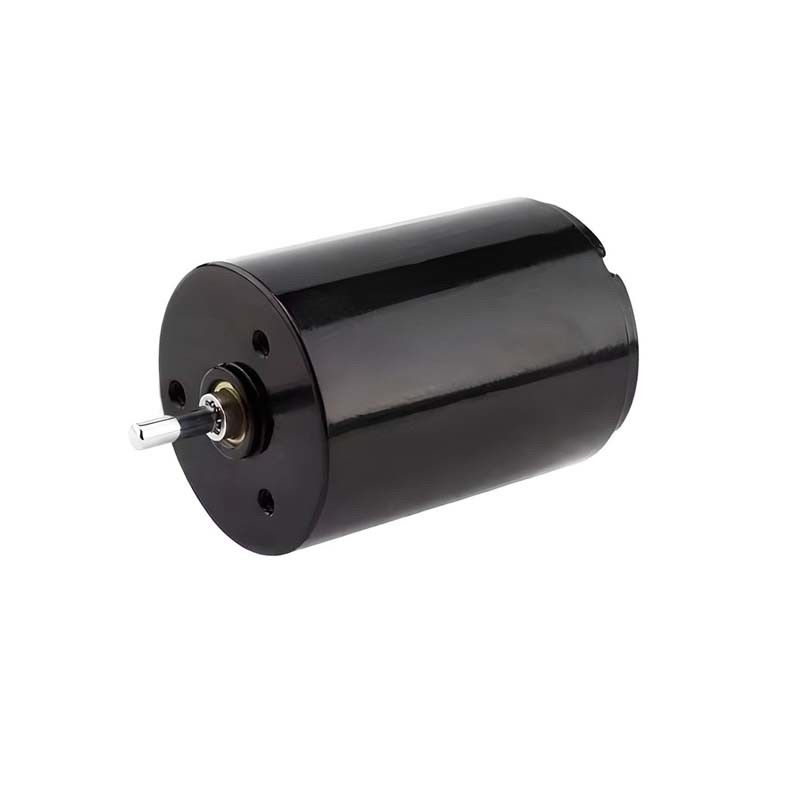 Makkelijke besturing Carbon Brush Motor Micro 22mm 3.61 Watt 6900rpm 36V Aanpasbaar