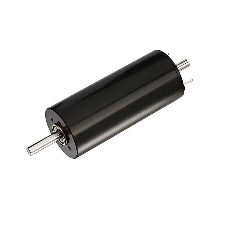30 mm Micro DC borstelmotor 73 Watt 7760 tpm 48 V laag geluid voor huishouden